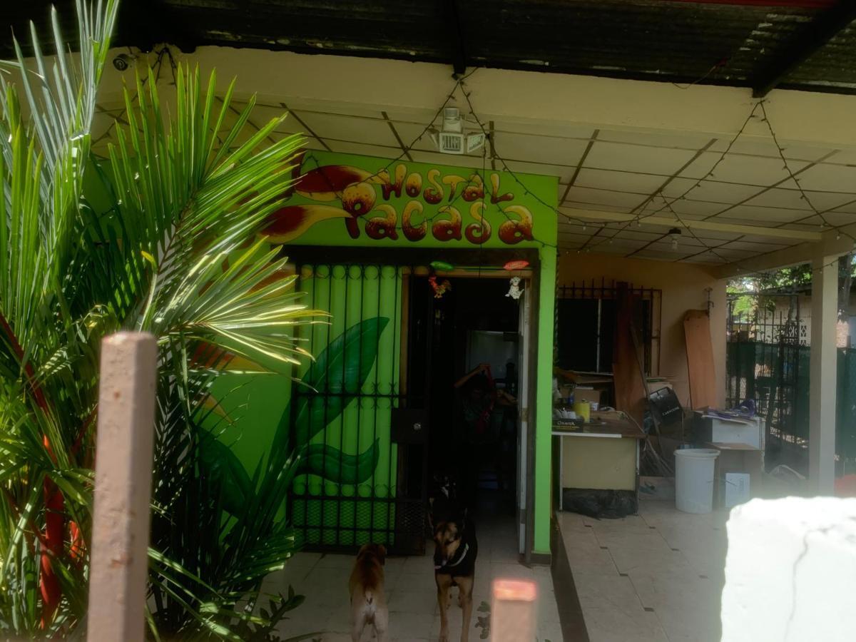 Pacasa Hostel David Exterior foto
